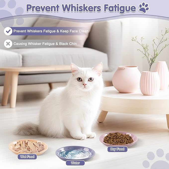 6 Pack Cat Food Bowl, Ceramic Cat Bowls, Anti Whisker Fatigue Cats Bowl Set | 5.5 Inches Shallow Wide Kitten Plates for Food and Water (CaiSe-A) - Image 3