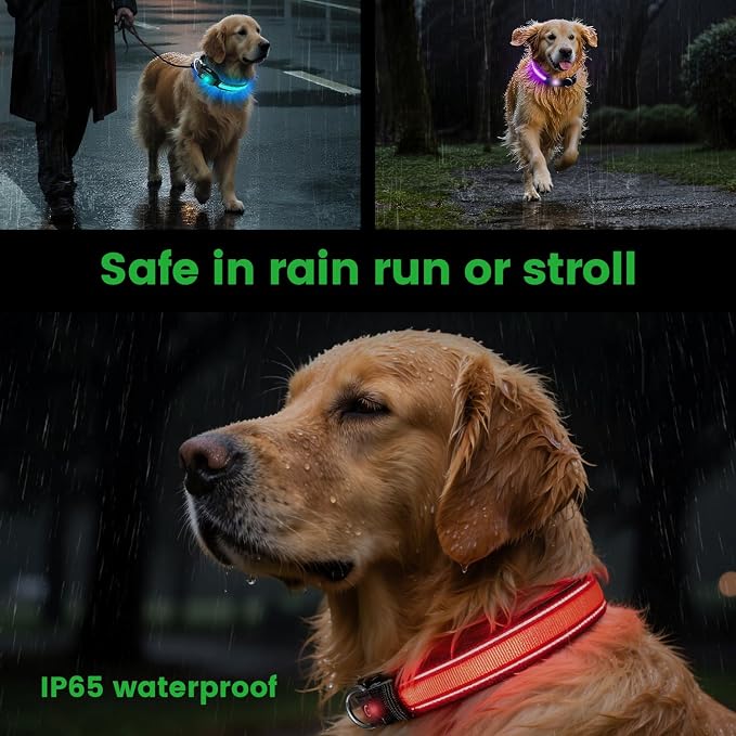 Auto Light Up Dog Collar - Smart Safety Night Collar with Motion Sensor - Auto-On in Dark - USB-C Rechargeable - 3 Day Runtime- IP65 Waterproof (M 15-20“) - Image 2