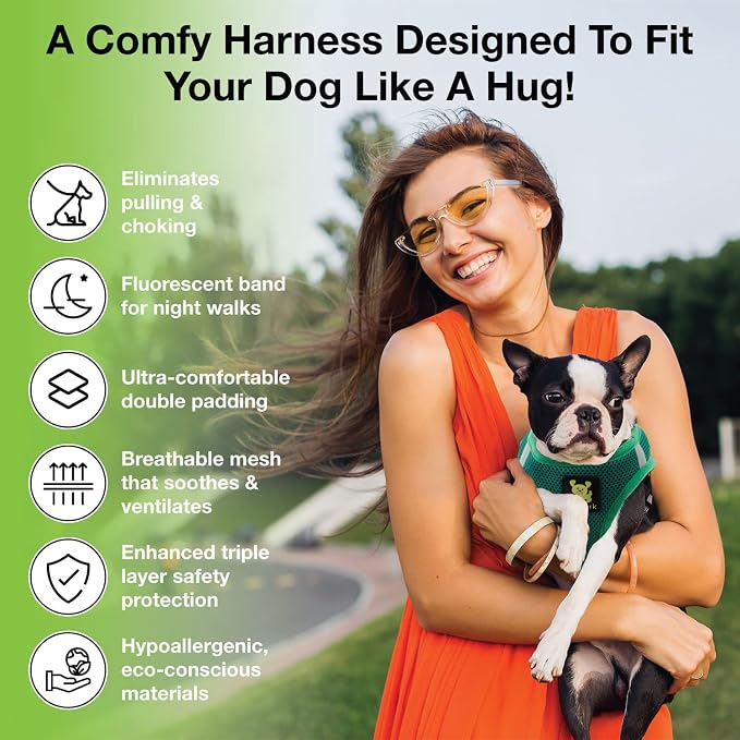 EcoBark Extra Small Dog Harness, Step in Vest, Forest Green, XS Dogs | Luxury Soft Harness for Puppies, Mini Body Halter Under 6 Lbs, No Choke Breathable Mesh, Adjustable Reflective Strap - Image 4