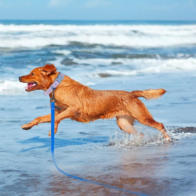 Wolfone Waterproof Dog Leash 20FT Long Line Recall Training Lead | Long Dog Lead PVC coated waterproof leash with easy clean surface strong training rope for recall hiking and beach trips - Image 5