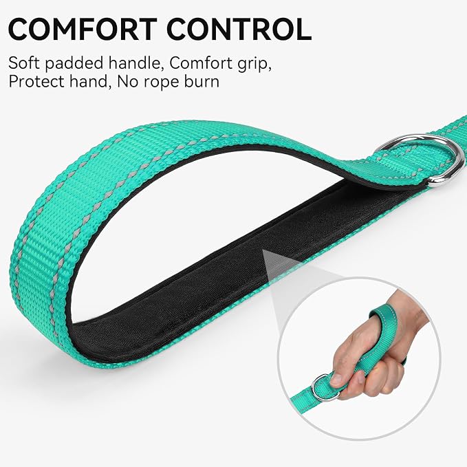 Joytale Reflective Dog Leash for Small Dogs, 6 FT x 3/4", Turquoise | Heavy Duty Nylon Webbing, Padded Handle for Comfort, Visible at Night, for Walking & Training - Image 3