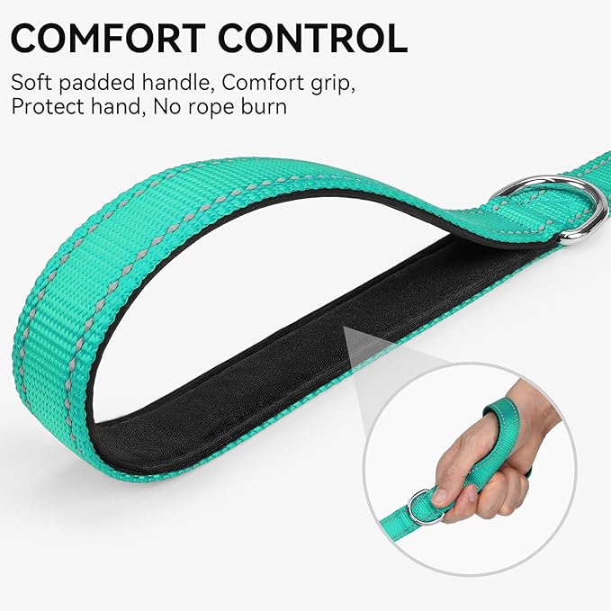 Joytale Reflective Dog Leash for Medium & Large Dogs, 5 FT x 1", Turquoise | Heavy Duty Nylon Webbing, Padded Handle for Comfort, Visible at Night, for Walking & Training - Image 3