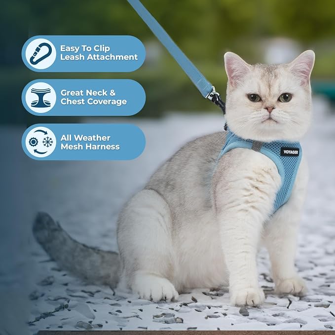 Voyager Step-in Air Cat Harness & Leash Set - Baby Blue, XX-Small | 12 - 13.5" in Chest, Reflective Bands, All Weather Breathable Air Mesh, Cats Compatible, Fast Drying - Image 2