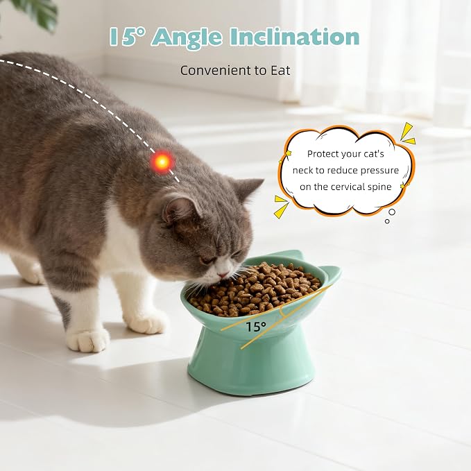 KSIA Klear Elevated Cat Bowls 2 Pack, Tilted Raised Cat Bowls for Indoor Cats, for Food and Water, 4.72" Wide, Whisker Friendly Anti Vomit for Indoor Cats, Microwave and Dishwasher Safe, Blue&Green - Image 4