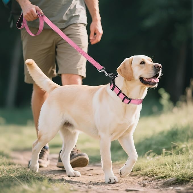 Joytale Reflective Dog Collar, Adjustable Neoprene Padded, Pink L | Breathable Nylon for Large Dogs, No Chafing on Walks and Outdoor Hikes, Tear-Resistant Webbing, Metal D-Ring, Night Safety - Image 6