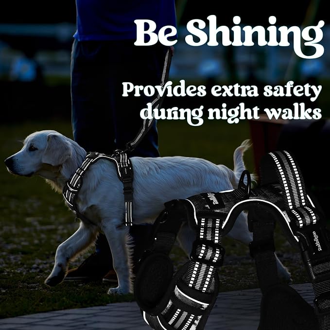rabbitgoo Dog Harness Small Sized, Updated Easy On & Off with 3 Buckles | No Pull No Choke, Walking with 2 Clips and Handle, Adjustable Soft Reflective, Mountain Black, Small - Image 9
