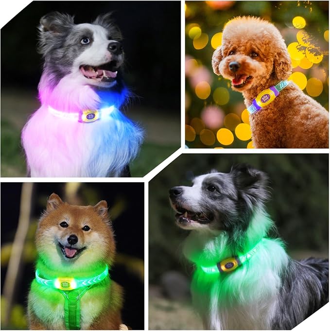 LaRoo LED Light Up Dog Collar, Multi-Color Glowing Safety Pet Collar, USB Rechargeable, Adjustable, Night Walk High Visibility Collar Safety Dog Light for Small Medium Dogs(Pink) - Image 6