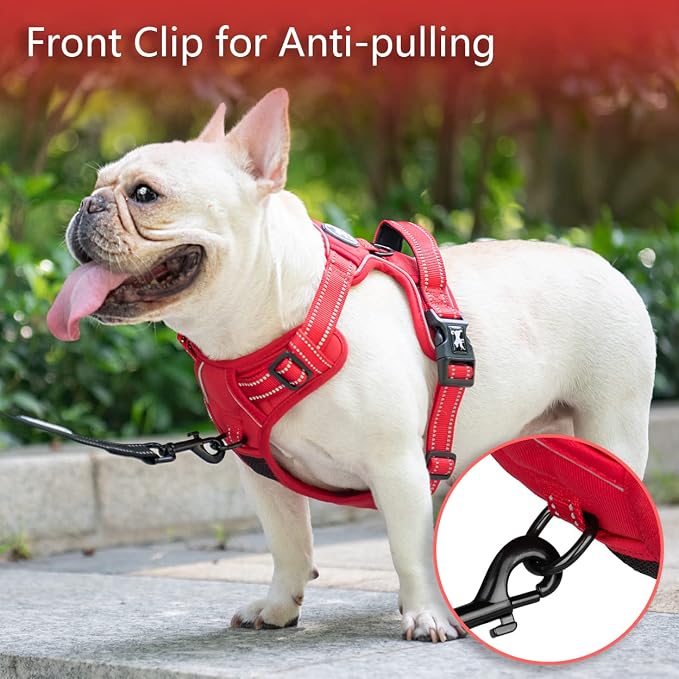 PoyPet No Pull Dog Harness, Reflective Vest with 2 Leash Clips & Handle | Lockable Neck Release Buckle, No Choke, Adjustable, Soft Padded, for Walking Training, Red Matching Trim, X-Small - Image 3