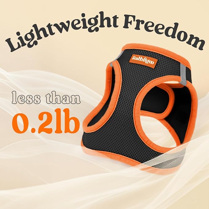 rabbitgoo Dog Harness Small Sized and Leash Set, Step in Soft Vest | Breathable Mesh, Easy Wear with Hook & Loop, Light and Reflective for Walking, Multi-colored, Black & Orange, M - Image 6