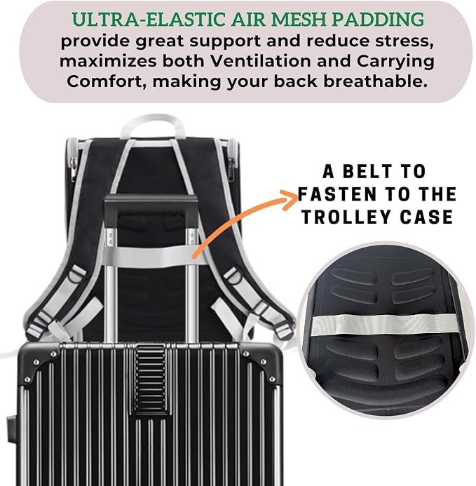 Lollimeow Cat Backpack Carrier, Ideal for Small Animals & Puppies, Airline Approved,Safe for Travel, Hiking, Vet Transport & Outdoor Use Fully Ventilated Design for Ultimate Comfort On-the-Go - Image 4