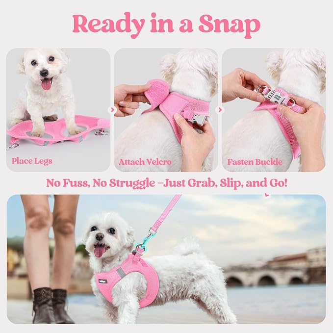 rabbitgoo Dog Harness Medium Sized and Leash Set, Step-in Puppy Pet Vest | Light, Soft, Breathable Air Mesh, Easy on and Remove with Hook & Loop, Secure Reflective for Walking, Light Pink XL - Image 7