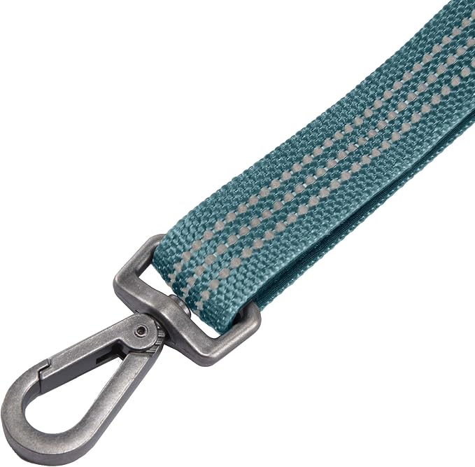 Carhartt Shock Absorbing Dog Leash Harbor Teal | Pet Durable Nylon Webbing, for Dogs, Reflective Stitching for Visibility - Image 2