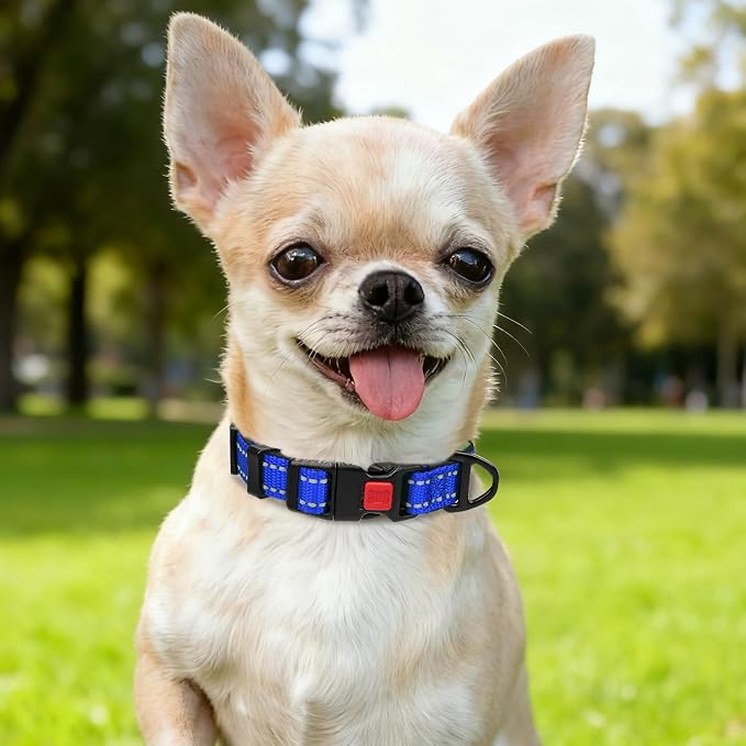 Taglory Reflective Dog Collar for Puppies, Gentle and Safe for Night Walks | Night-Walk Visibility, Soft Neck Cushioning, Adjustable 8-12 in, Locking Buckle, D-Ring for Leash and ID Tags - Image 2