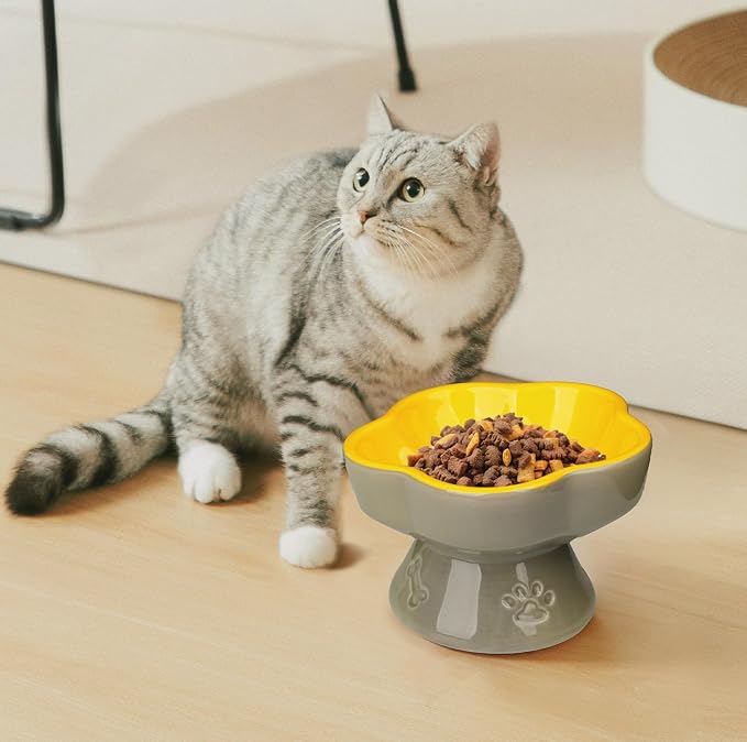 S&Q's CERAMICS Raised Cat Bowl, Elevated Cat Bowl for Food and Water, Ceramic Titled Dish, Anti Vomit & Whisker Friendly, Microwave and Dishwasher Safe (Yellow, 5.8") - Image 5