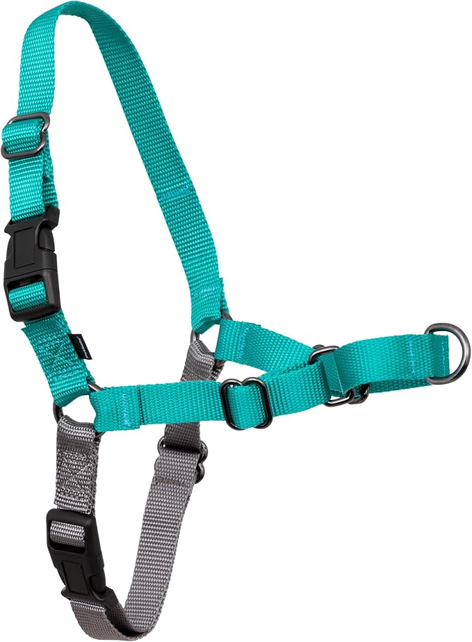 PetSafe Easy Walk Harness, No Pull Dog Harness, Small, Teal | Patented Martingale Loop Gives Gradual Shoulder Pressure to Stop Pulling, Front-Chest Leash Clip Prevents Gagging by PetSafe