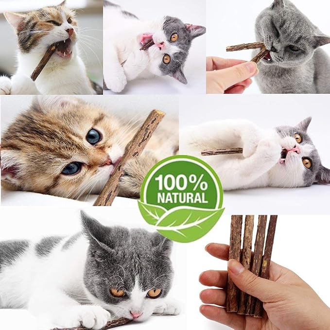 10 PCS Catnip Sticks Organic Cat Chew Toys Natural Plant Matatabi Silvervine Chew Sticks Teeth Cleaning Chew Toy Kitten Kitty - Image 4