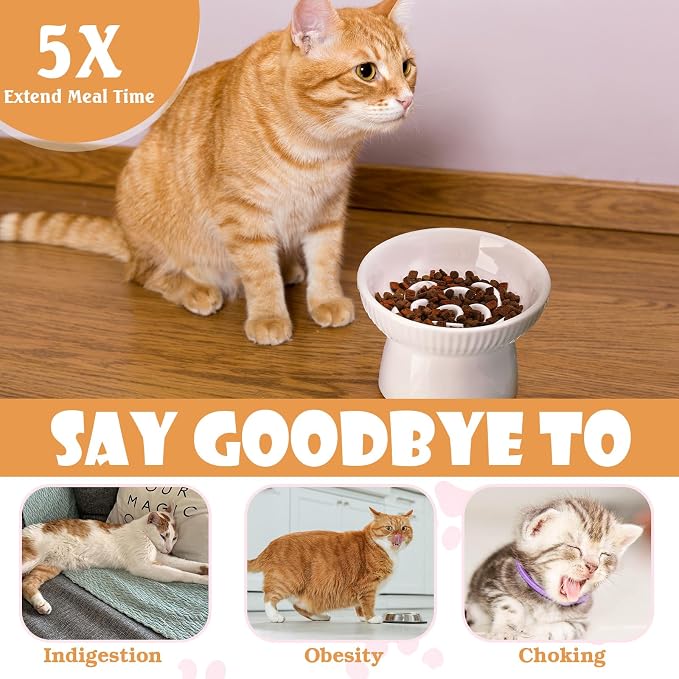 2 Pcs Cat Slow Feeder Bowl, Raised Ceramic Cat Slow Feeder Bowl, Elevated Cats Dog Food Bowls High Edge, Anti Vomiting for Pets Kitten Puppies Dry Wet Food and Water, Dishwasher Safe - Image 5