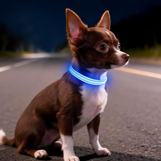Light Up Dog Collar for Small Dogs, LED Dog Collar Rechargeable Safety Dog Lights, Fully Adjustable Glow in The Dark Dog Collar Light for Night Walking & Camping (X-Small, Blue) - Image 6