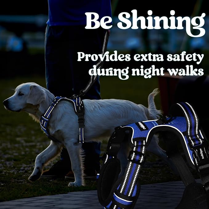 rabbitgoo Dog Harness for Large, Updated Easy On & Off with 3 Buckles | No Pull No Choke, Walking with 2 Clips and Handle, Adjustable Soft Reflective, Blue, X-large - Image 8