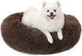 MIXJOY Orthopedic Dog Bed Comfortable Donut Cuddler Round Pet Beds Ultra Soft Washable Dog and Cat Cushion Bed (23'', Coffee) by MIXJOY