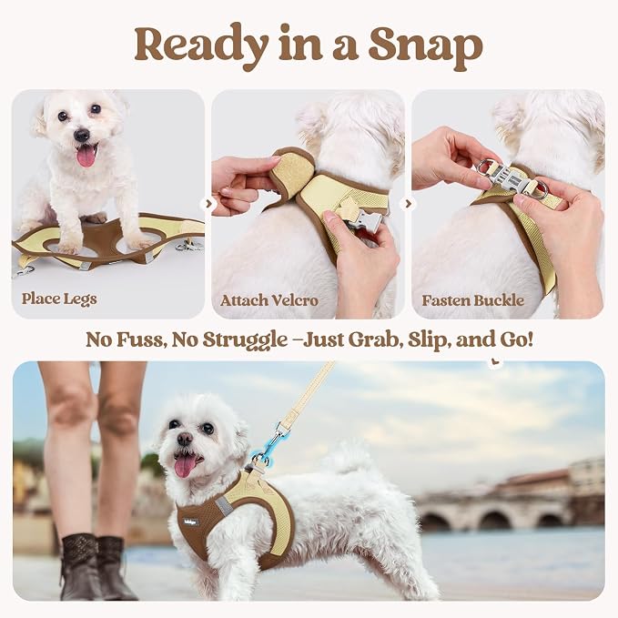 rabbitgoo Dog Harness Medium Sized and Leash Set, Step-in Puppy Pet Vest | Light, Soft, Breathable Air Mesh, Easy on and Remove with Hook & Loop, Secure Reflective for Walking, Brown & Beige L - Image 8