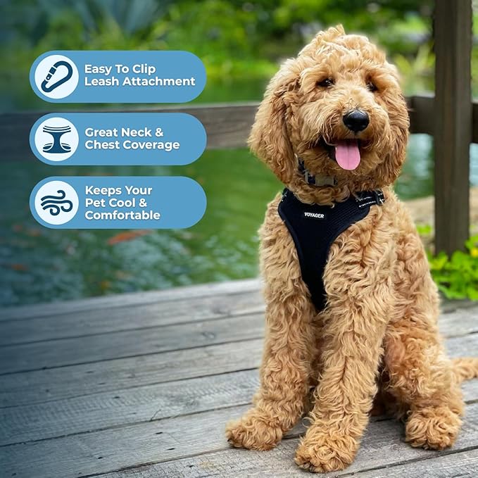 Voyager Step-in Flex Adjustable Dog Harness - Black, Medium | 17 - 21" in Chest, Fully Adjustable, Reflective Bands, All Weather Breathable Air Mesh, Lightweight, Fast Drying - Image 5