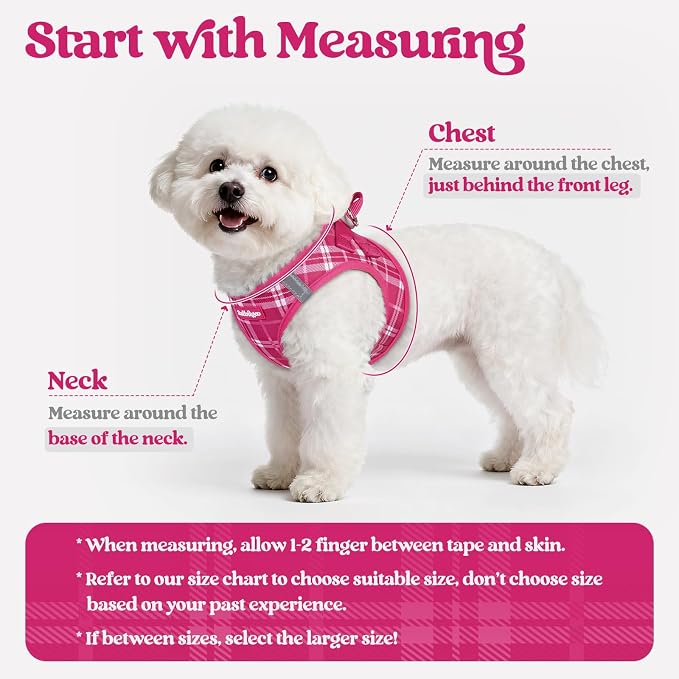 rabbitgoo Dog Harness Small Sized and Leash Set, Step-in Puppy Pet Vest | Light, Soft, Breathable Air Mesh, Easy on and Remove with Hook & Loop, Secure Reflective for Walking, Rose Red Plaid M - Image 2