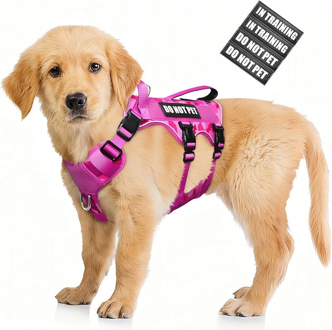 WINSEE Escape Proof Dog Harness with Double Handle+4 Removable Patches | Service Working Molle Harness with Double Handle for Small Dogs, Tactical Pet Reflective Vest for Walking Hiking Hunting by WINSEE