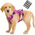 WINSEE Escape Proof Dog Harness with Double Handle+4 Removable Patches | Service Working Molle Harness with Double Handle for Small Dogs, Tactical Pet Reflective Vest for Walking Hiking Hunting by WINSEE