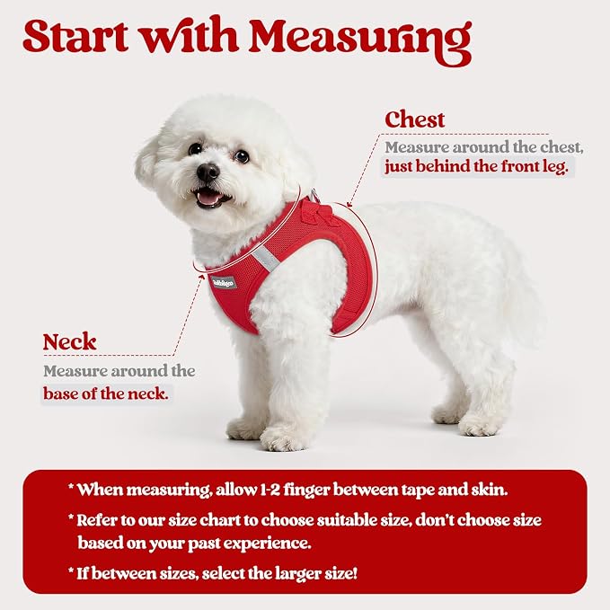 rabbitgoo Dog Harness Small Sized and Leash Set, Step-in Puppy Pet Vest | Light, Soft, Breathable Air Mesh, Easy on and Remove with Hook & Loop, Secure Reflective for Walking, Red XXXS - Image 2