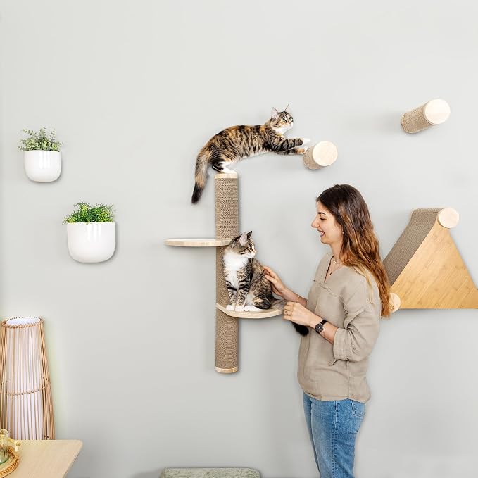 Cat Climbing Wall System – Modern Floating Shelves & Perches for Cats - Sunrise Steps | Ascentials by FurHaven - Image 3