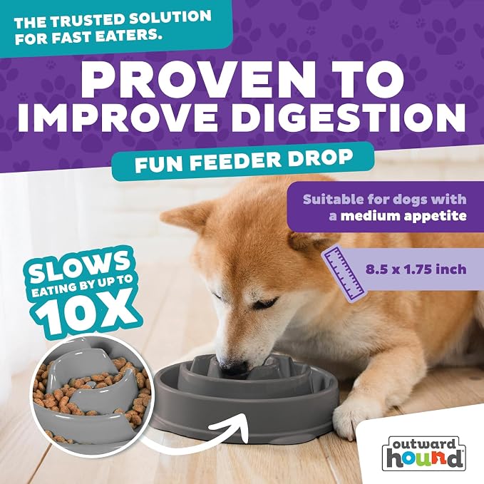 Outward Hound Fun Feeder Slo Bowl – Medium 2‑Cup Capacity,Slow Feeding,Small to Medium Dogs & Cats,Non-Slip,Gray,Drop Pattern,(Pack of 12) - Image 2