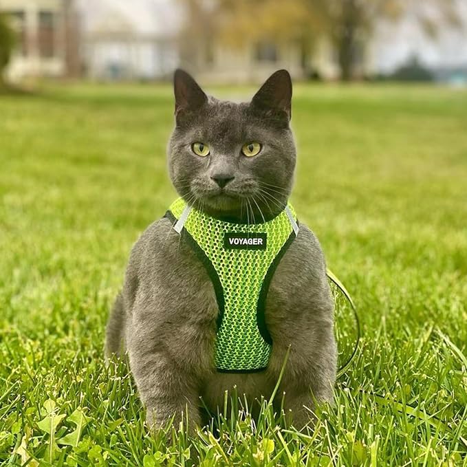 Voyager Step-in Air Dog Vest Harness - Lime Green 2-Tone, X-Small | 13 - 14.5" in Chest, Reflective Bands, All Weather Breathable Air Mesh, Cats Compatible, Lightweight, Fast Drying - Image 8