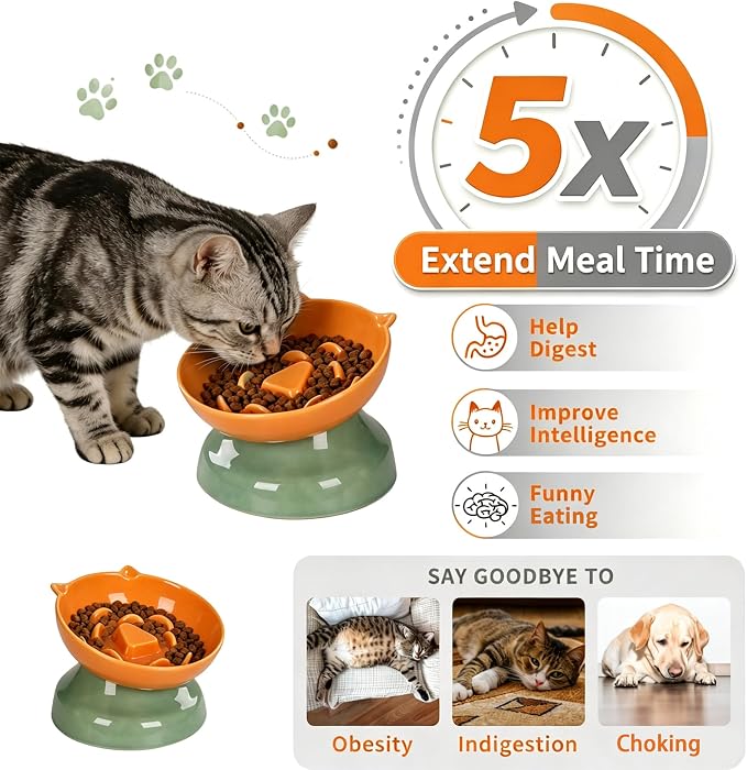 Ceramic Slow Feeder Cat Bowl, 15-Degree Tilted Non-Slip | Food-Grade Ceramic For Indoor Cats, 5.3 In Shallow Bowl, Whisker-Friendly, Dry And Wet Food, Dishwasher Safe - Image 2