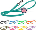 Dogline Biothane Waterproof Dog Leash Strong Coated Nylon Webbing with Black Hardware Odor-Proof Easy to Clean High Performance for Small or Large Dogs Made in USA 4 or 6 ft Lead, Blue Aqua by Dogline
