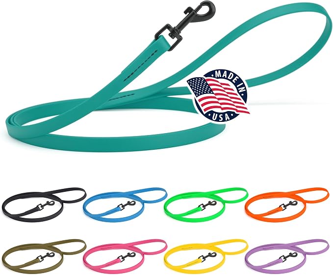 Dogline Biothane Waterproof Dog Leash Strong Coated Nylon Webbing with Black Hardware Odor-Proof Easy to Clean High Performance for Small or Large Dogs Made in USA 4 or 6 ft Lead, Blue Aqua by Dogline