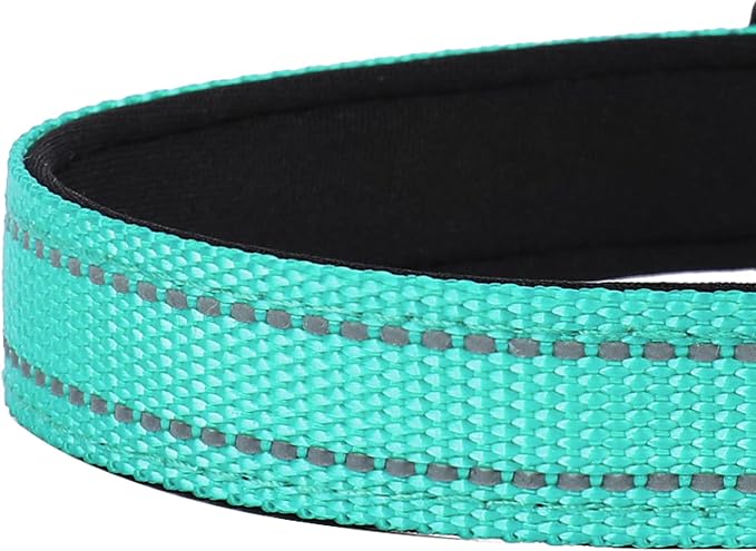 Reflective Dog Collar, Adjustable Soft Neoprene Padded,Teal,M | Breathable Nylon for Medium Dogs,Tear-Resistant Webbing,Chafe‑Free on Walks and Hikes,Metal D-Ring,Night Safety - Image 5