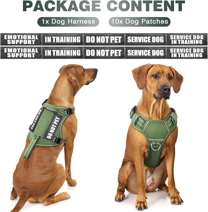 Tactical Dog Harness, No Pull Dog Harness for Medium Large Dogs with Handle & Molle, Military Service Dog Vest Harness in Training Pet Harness for Small Dogs - Image 2