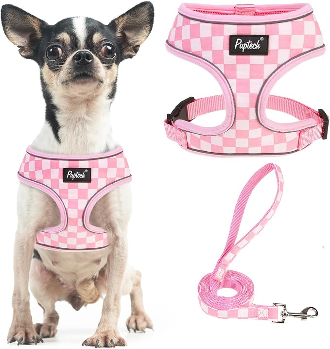 PUPTECK Small Dog Harness and Leash Set No Pull for XS XXS Sized Dogs Puppy | Escape Proof No Choke Pet Cat Adjustable Soft Padded Walking Vest by PUPTECK