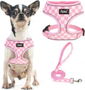 PUPTECK Small Dog Harness and Leash Set No Pull for XS XXS Sized Dogs Puppy | Escape Proof No Choke Pet Cat Adjustable Soft Padded Walking Vest by PUPTECK