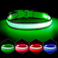 LED Dog Collar, Dog Light Up Collar,for Night Walking (Large, Green-2) | Full Adjustable,Waterproof,Nylon,Soft,Super Bright Light Collars for Small Medium and Large Dogs,USB C to Charge by YFbrite