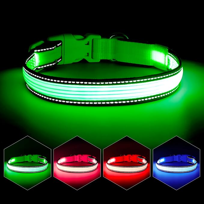 LED Dog Collar, Dog Light Up Collar,for Night Walking (Large, Green-2) | Full Adjustable,Waterproof,Nylon,Soft,Super Bright Light Collars for Small Medium and Large Dogs,USB C to Charge by YFbrite