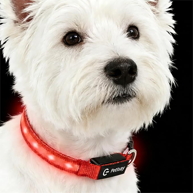 Super Bright LED Dog Collar, Waterproof Light up Collars(Red, S) | Lighted Dog Collar with Adjustable Fit, Soft Nylon Comfort, USB-C Rechargeable, Glow in the Dark Visibility for Night Walks by PetIsay