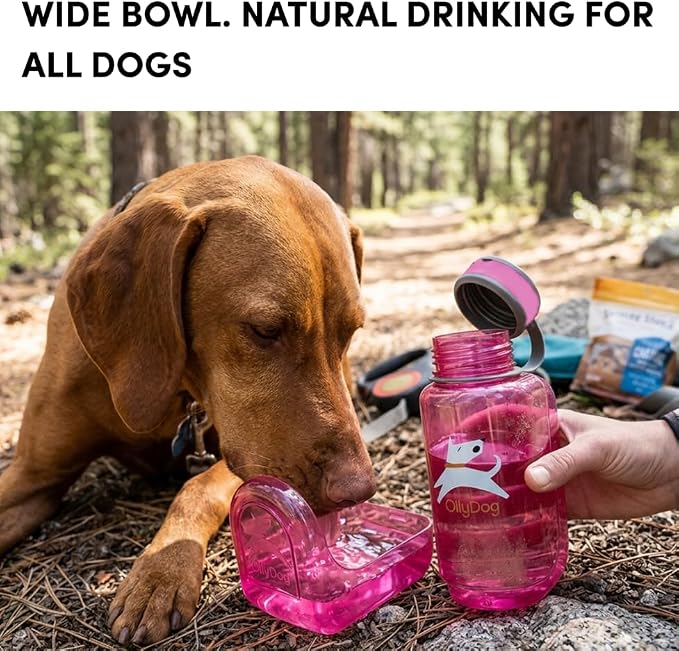 OllyDog OllyBottle Tritan Water Bottle with Detachable Dog Bowl | BPA Free Leakproof | 20oz | Share Water with Your Dog | Hiking Travel Camping (600ML, Hot Pink) - Image 4