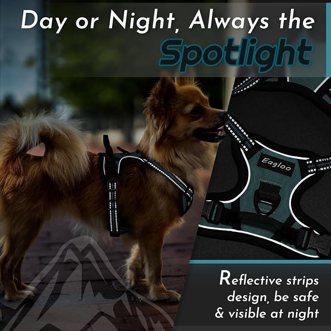 Eagloo Dog Harness for Small Dogs, No Pull Pet Vest with 2 Leash Clips | No Choke with Handle, Adjustable Comfort Fit, Reflective Strips, Easy Walking Control, Dark Green, X-Small - Image 8