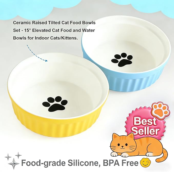 Ceramic Raised Tilted Cat Food Bowls Set - 15° Elevated Cat Food and Water Bowls for Indoor Cats/Kittens, Anti-Vomiting Pet Feeding Bowls (Non-Slip, BPA-Free) - Image 4
