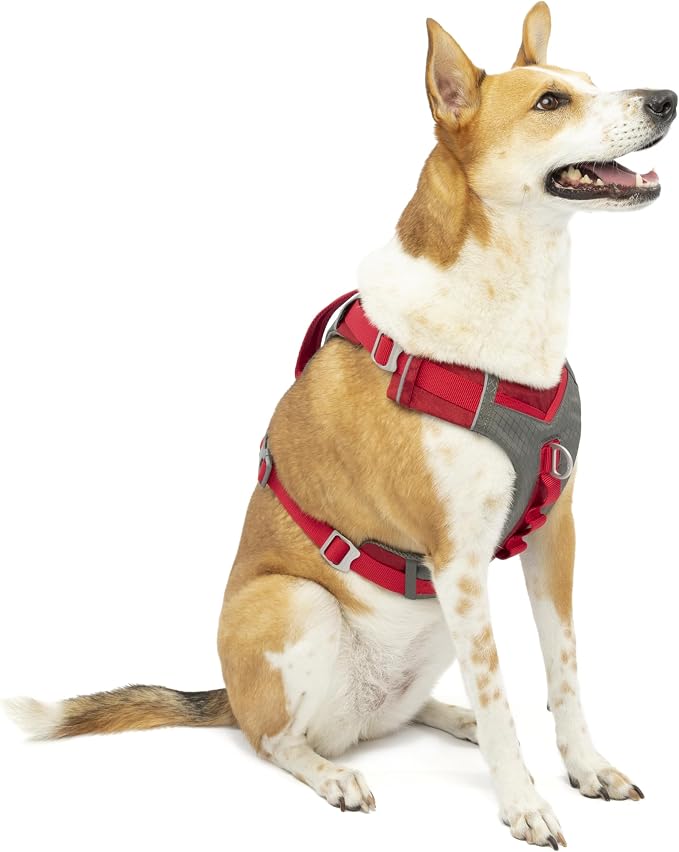 Kurgo Journey Air Dog Harness, Red, Large | Padded Chest, Ripstop Outer & Breathable Mesh, Back Assist Handle, Rust-Free Aluminum Hardware, Reflective Trim - Image 3