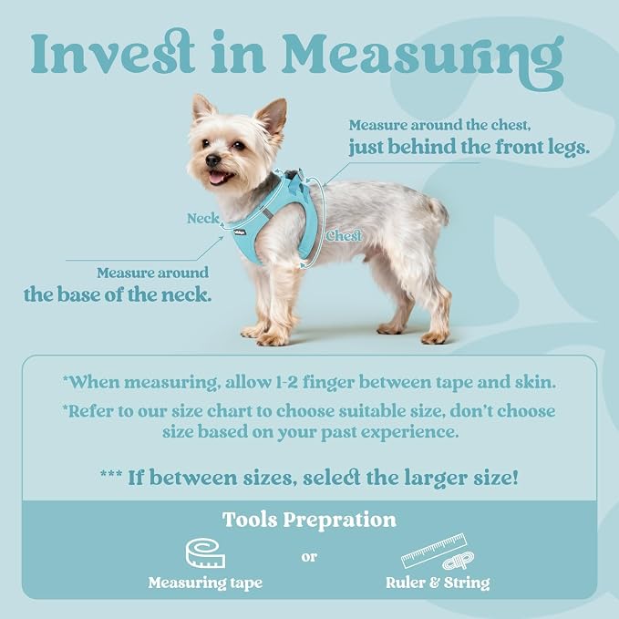 rabbitgoo Step-in Small Dog Harness, Puppy Vest for Small Sized Pet | Easy Put on and off, Lightweight, Soft, Breathable Quick-Dry Air Mesh for Comfortable Secure Walking, Mint Blue S - Image 2