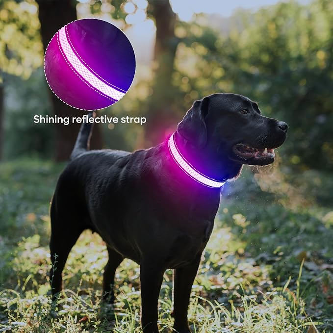 Weesiber Light Up Dog Collar, USB Rechargeable LED Dog Collar Glow in The Dark, Adjustable Reflective Waterproof Dog Collar Light for Night Walking (RGB, M) - Image 7