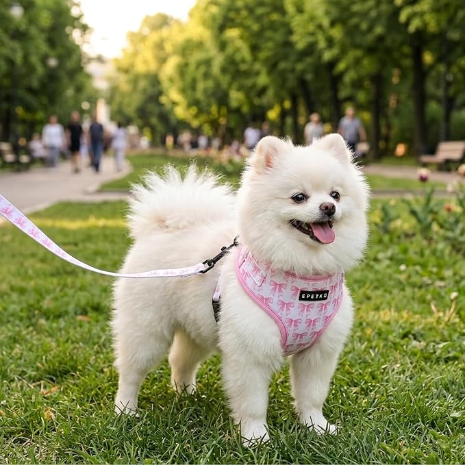 Small Dog Harness and Leash Set of 6, No Pull Soft Lightweight Mesh Puppy Harness, Adjustable Cute Floral Pattern Pet Harness for Small Medium Dogs (Pink Bow, M) - Image 7